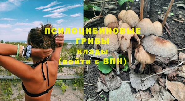 соль курить ск Аркадак